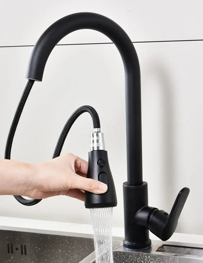 Stainless Steel Pull-Out Faucet